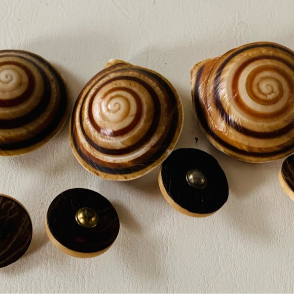 Sea Shell buttons - Picture 1 of 9